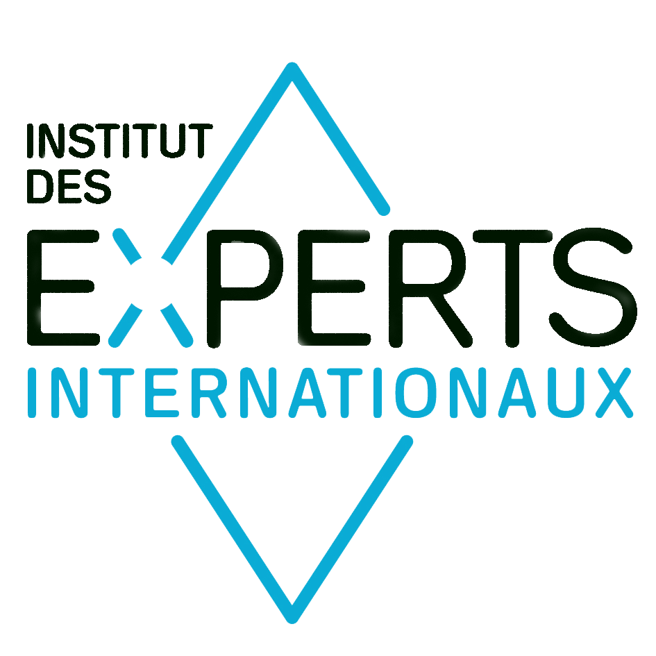 expertsinstitute